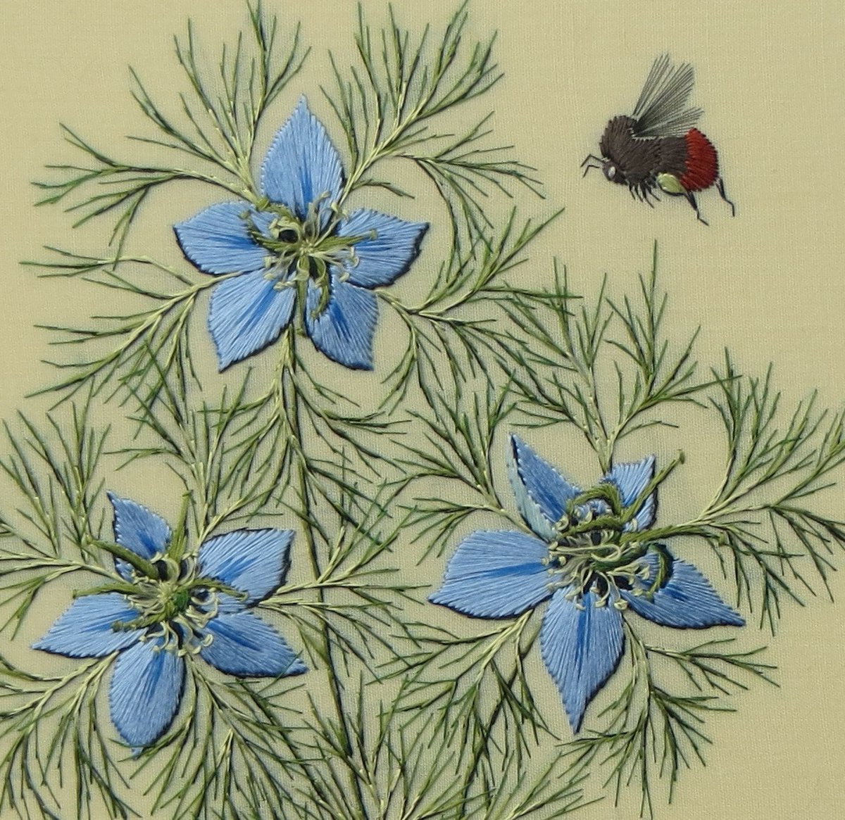 Another glorious day and the nigella is out and attracting the bees.
Folk names include 'ragged lady'  and 'Devil in the bush' (the latter seems a rather unfair name for such a useful and traditionally indispensable medicinal plant) #wildflowers #embroidery #handembroidery #bees