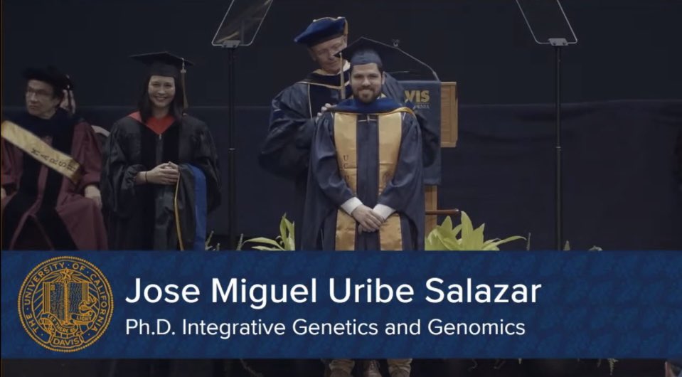The culmination of a wonderful journey! PhD ✅
