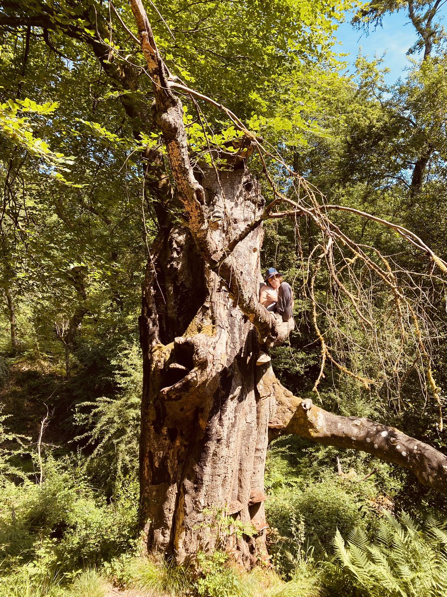 GassideMatt's tweet photo. What an awesome day to explore the Forest of Dean with some of the people we are working alongside. Hearing their stories and listening to their ideas and feedback was inspiring… #forest #relaxation #weareP3 ☀️🌲🌳😎 @P3Charity @FoDDC https://t.co/Tl3HSY32M1