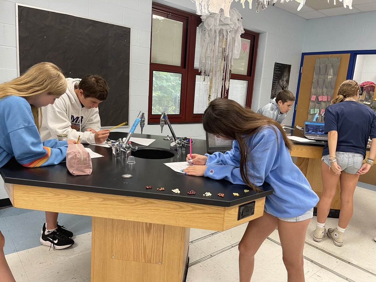 Doreen Silakowski tweet media