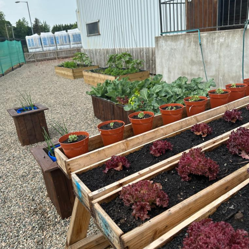 DalradianNI's tweet photo. This year marks #10YearsOfService for 3 members of our team. To mark the occasion, we held a #Summer BBQ with salads homegrown from our Dalradian garden. Thank you for all your hard work and commitment over the last 10 years!
#Celebrate https://t.co/m4Uokmz5pv