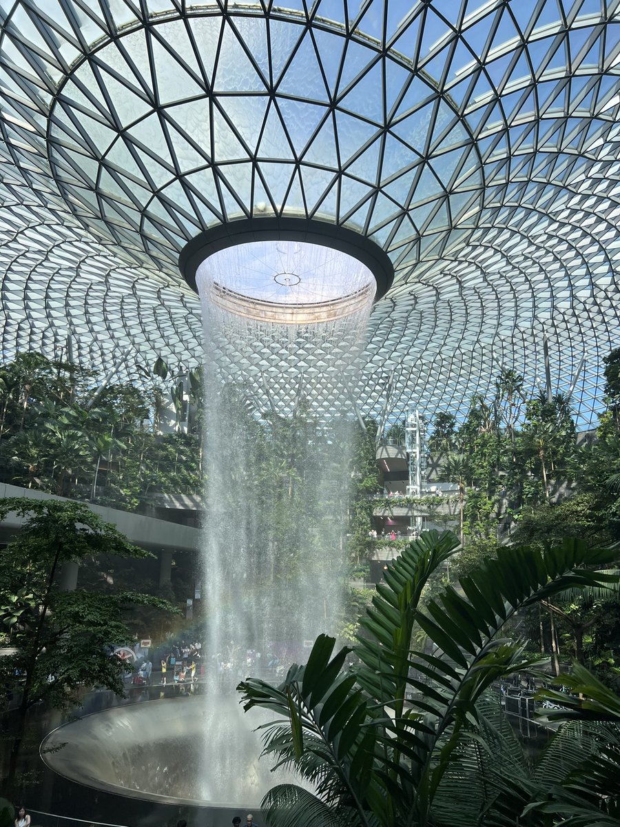 lisa scharoun tweet media