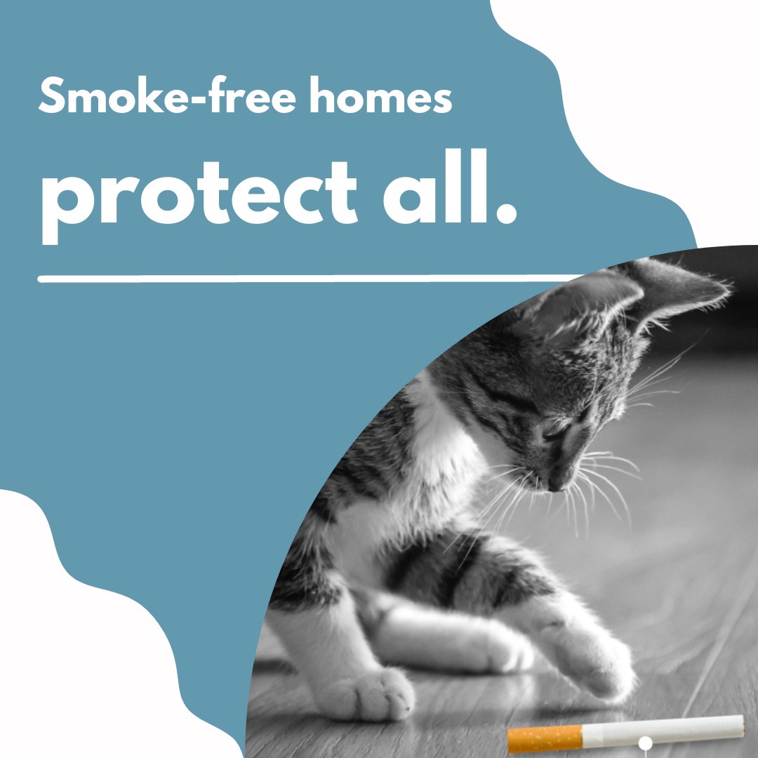 Protect all of your loved ones by keeping your home smoke-free.  Secondhand and Thirdhand smoke can cause serious harm to adults, children and pets. Learn more about how you can protect the ones you care about at MaineQuitLink.com  #SmokeFreeHousing