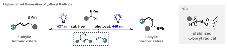 J. J. Molloy Lab (@johnjmol) on Twitter photo Our first research paper is online <a href="/angew_chem/">Angewandte Chemie</a>!! A huge congratulations to Alessandro, Hao, Callum, Kailey and Constantin. Thanks for all your hard work making this possible.
<a href="/BioMolSys/">Biomolecular Systems</a> <a href="/MpiciPotsdam/">Max Planck Institute of Colloids and Interfaces</a>
onlinelibrary.wiley.com/doi/10.1002/an… Our first research paper is online <a href="/angew_chem/">Angewandte Chemie</a>!! A huge congratulations to Alessandro, Hao, Callum, Kailey and Constantin. Thanks for all your hard work making this possible.
<a href="/BioMolSys/">Biomolecular Systems</a> <a href="/MpiciPotsdam/">Max Planck Institute of Colloids and Interfaces</a>
onlinelibrary.wiley.com/doi/10.1002/an…