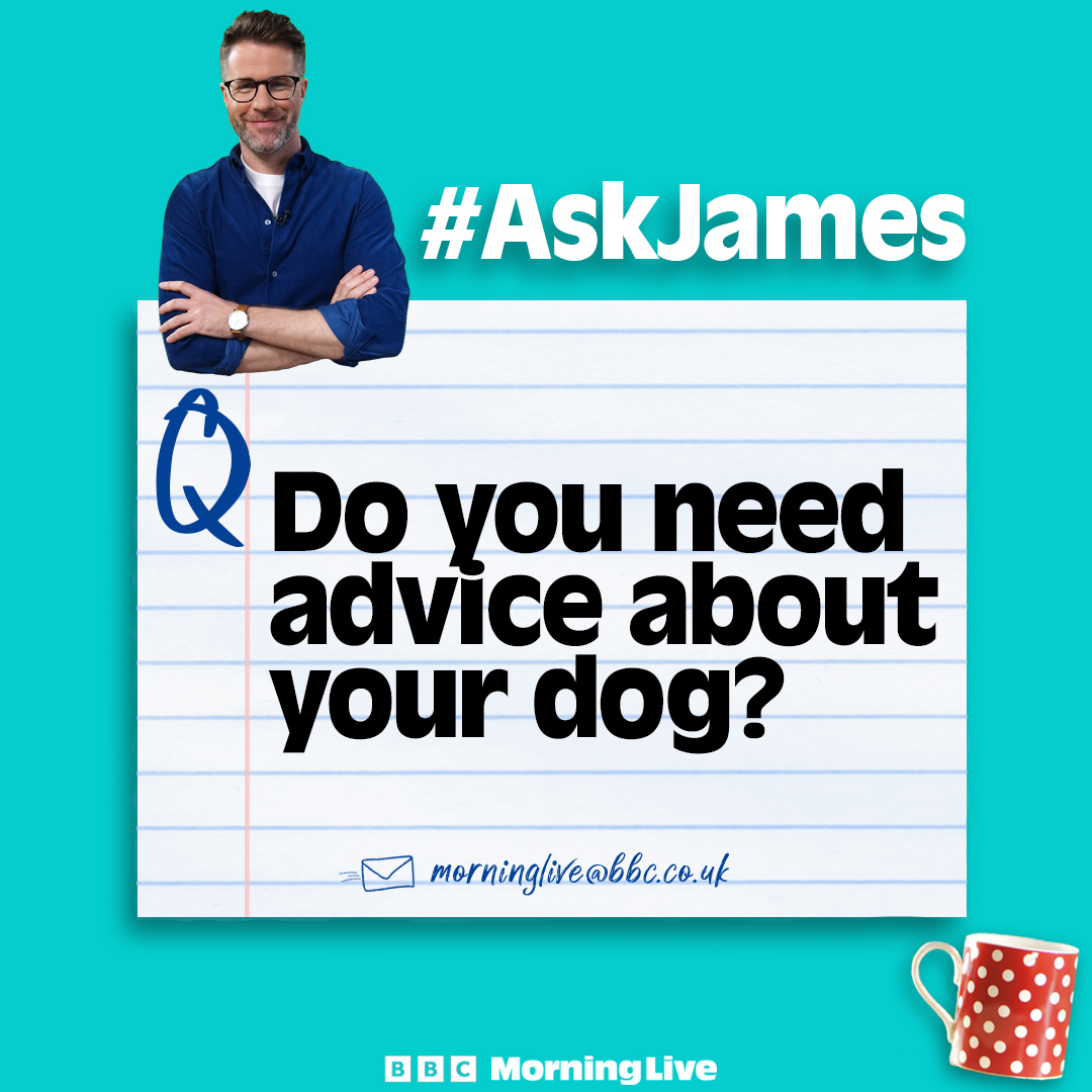 On Tuesday, vet <a href="/drjgreenwood/">Dr James Greenwood</a> is holding a dog clinic. He'll be answering questions and sharing simple tips on dog allergies, bee stings and removing grass seeds.

📧 Does your dog suffer from hayfever? Often gets grass seeds stuck in their paws? Get in touch with your questions.