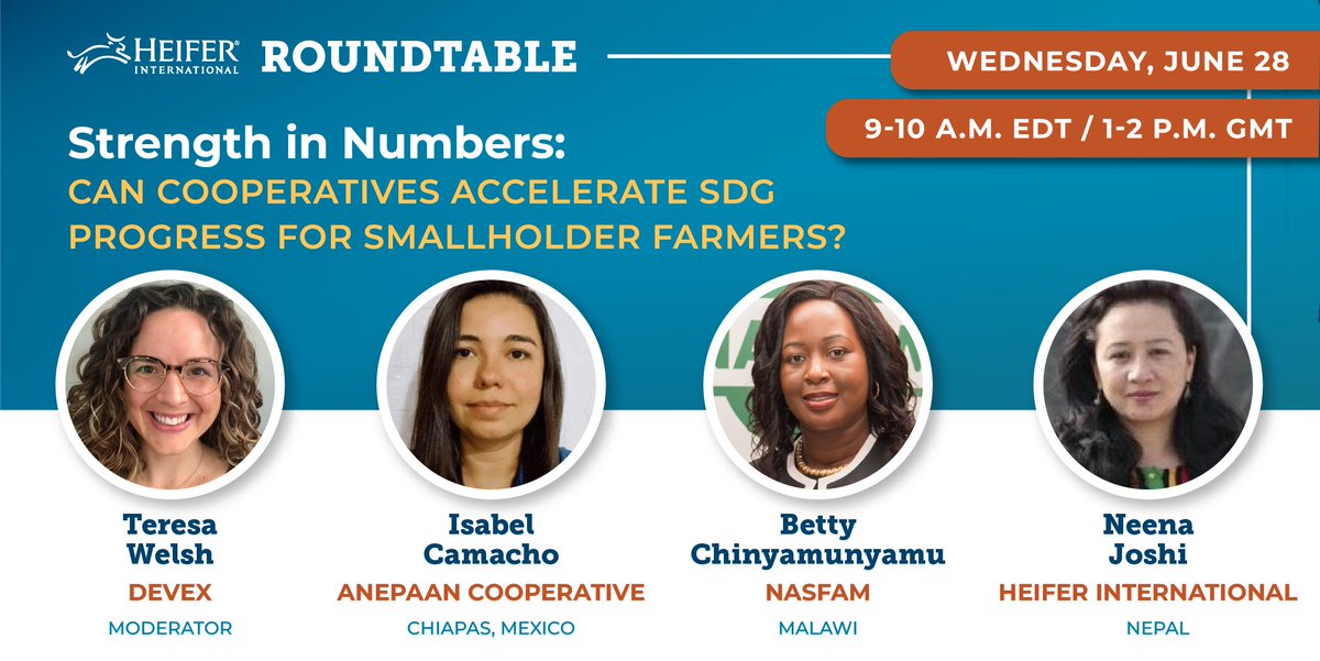 Join us June 28! As the #SDG midpoint looms it's time to double down on development gains for smallholders. Cooperatives, FPOs and other collective approaches are well-known but how to ensure they're effective &amp; scalable? Register to join the convo: heifer.zoom.us/webinar/regist…