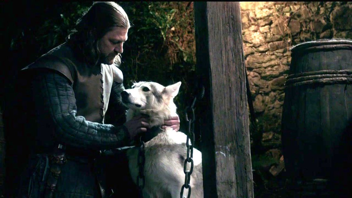 “The wolf is of the North. She deserves better than a butcher.”
Ned Stark