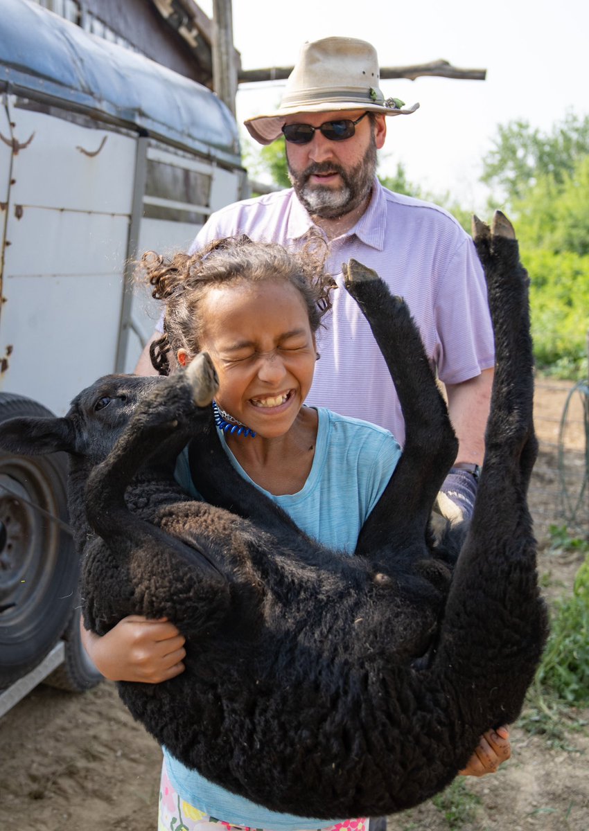 Alex Kormann tweet media