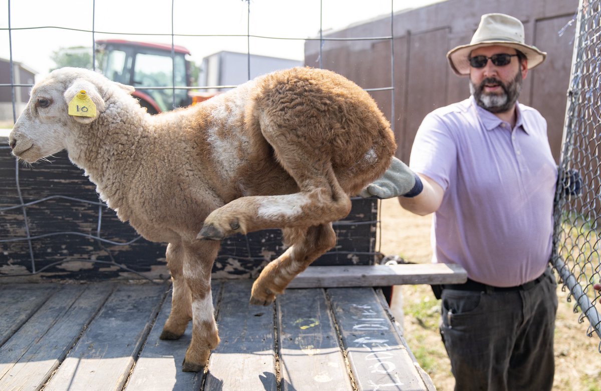 Alex Kormann tweet media