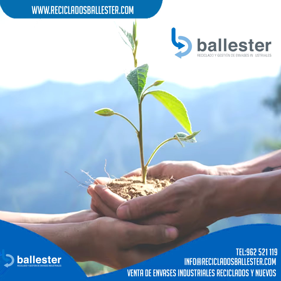 ♻️ ¡Reciclados Ballester, cuidando nuestro futuro juntos! ♻️

linkedin.com/posts/vicente-…
#reciclaje #valencia #medioambiente #Envases #empresas #pymes #residuos #residuospeligrosos