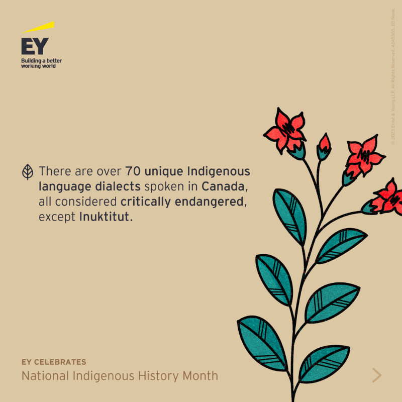 EYCanada's tweet photo. Understanding more about Indigenous experiences helps eliminate systemic bias and barriers. At EY, we embrace continuous learning in the hopes of building a #BetterWorkingWorld. 

#EYCanada #NIHM #YouBelong