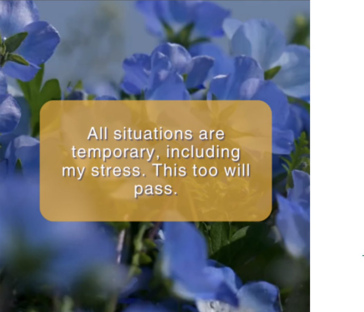 💜#MentalHealth Moment💜 
All situations are temporary, including this one. This too shall pass. 

For mental healthcare in 20 minutes or less,
visit a MIND 24-7 location near you.
📍bit.ly/3WXGYfZ
#mindfulness #MIND247