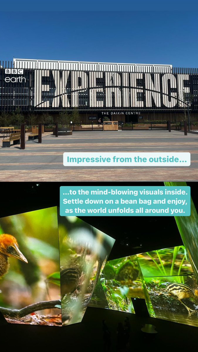 shinecsolutions's tweet photo. Back at #bbcearthexperience today filming for upcoming brand activity with Time Out London. Always a fab visit… https://t.co/vUPzj3ZWRR
