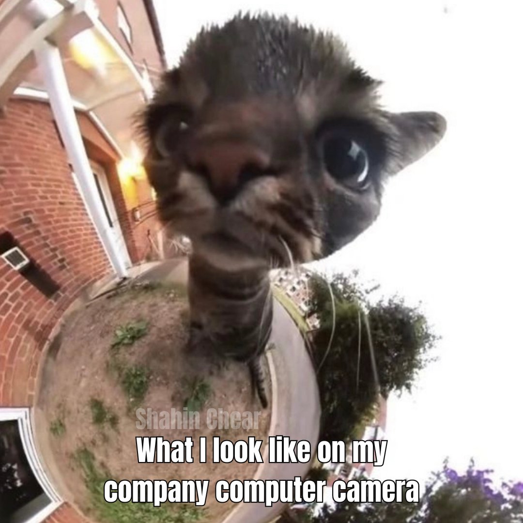 SChearStateFarm's tweet image. Why does it make me look so bad😔🤣 Happy Friday🌈
Call or text Shahin Chear at 949-553-1115📱

#jakefromstatefarm #statefarminsurance #likeagoodneighbor #persianbusiness #lgbtqfriendly #persian #womenowned #womenleader #artmatters #persianbusinessowner #persianwomenleader