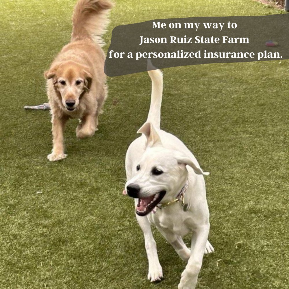 JRuizInsurance's tweet photo. Need insurance that fits your lifestyle? We've got you covered! 🏡💼🚗 Visit us at Jason Ruiz State Farm in Plano, TX and we'll work with you every step to make sure you and your loved ones are protected. 5809 Preston Road, Suite 586, Plano, TX, 75093 #LikeAGoodNeighbor https://t.co/LlSj2sfgAi