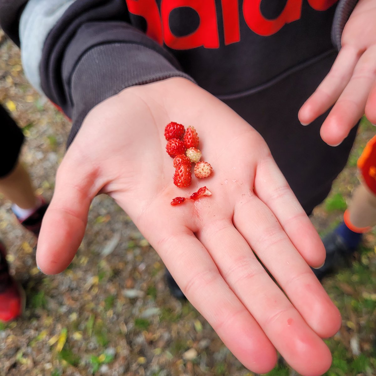 Mr. Dollin AKA Chuck tweet media