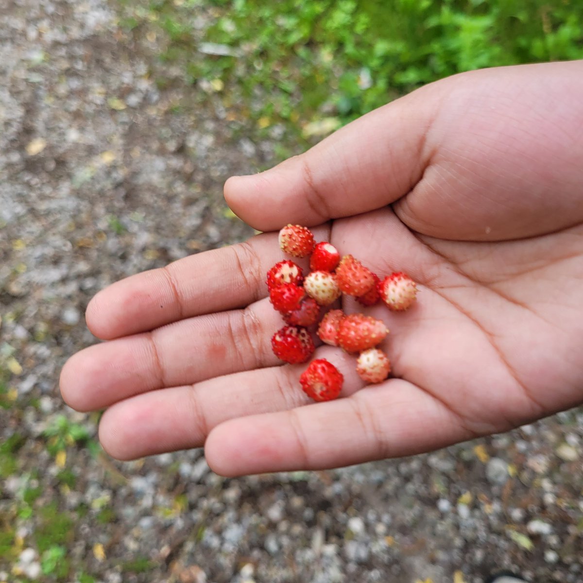 Mr. Dollin AKA Chuck tweet media