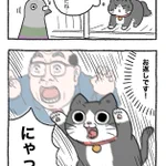 「ねこ転」その132が公開!鳩に対抗心を燃やすプンちゃんが可愛い