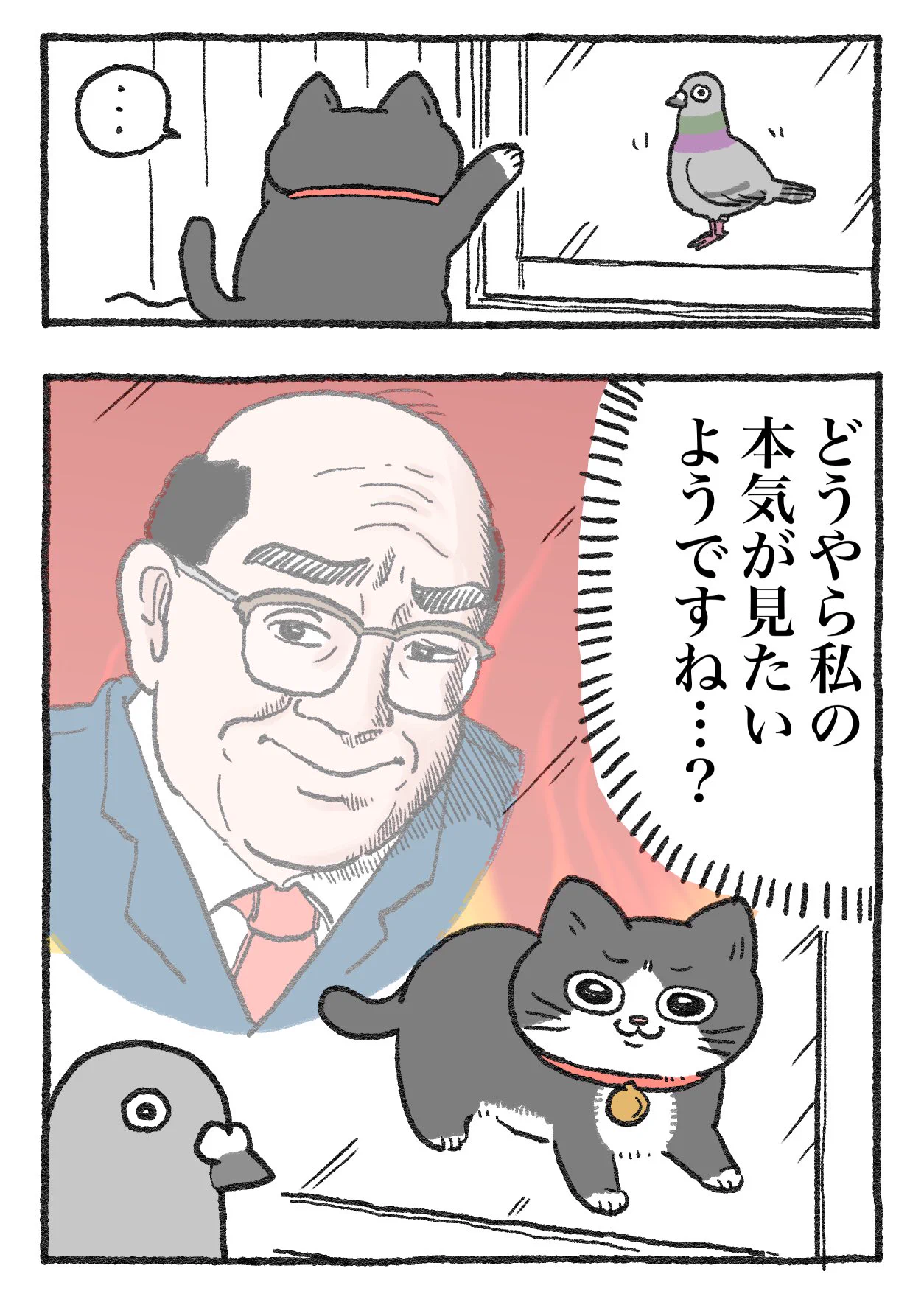 「ねこ転」その132が公開！鳩に対抗心を燃やすプンちゃんが可愛い