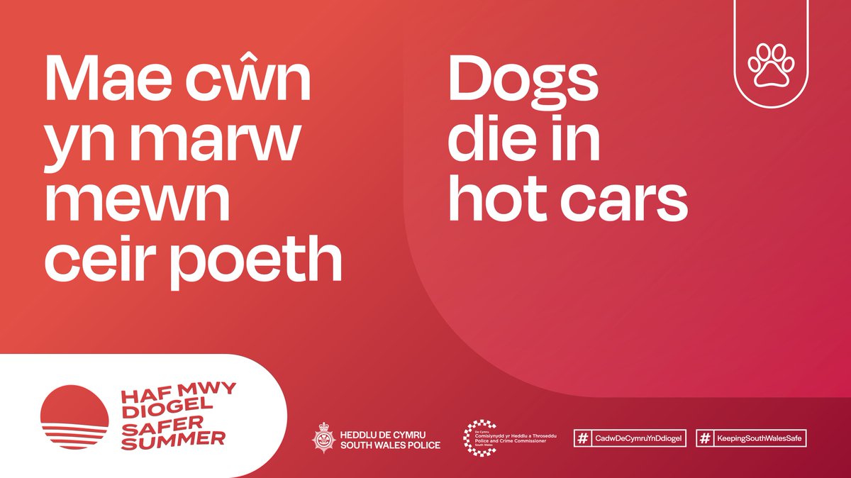 ⚠️ Unfortunately the message is still not getting through to everyone: that dogs die in hot cars. ‼️ And it doesn't matter if the car is parked in the shade or with the windows open. More @RSPCA_official 👉 rspca.org.uk/adviceandwelfa… #KeepingSouthWalesSafe #SaferSummer