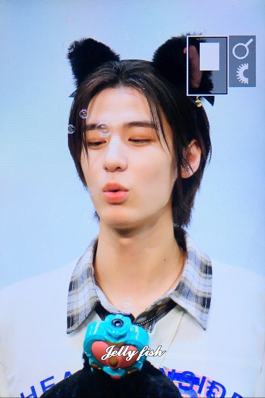 jellyfish-2han-twitter
