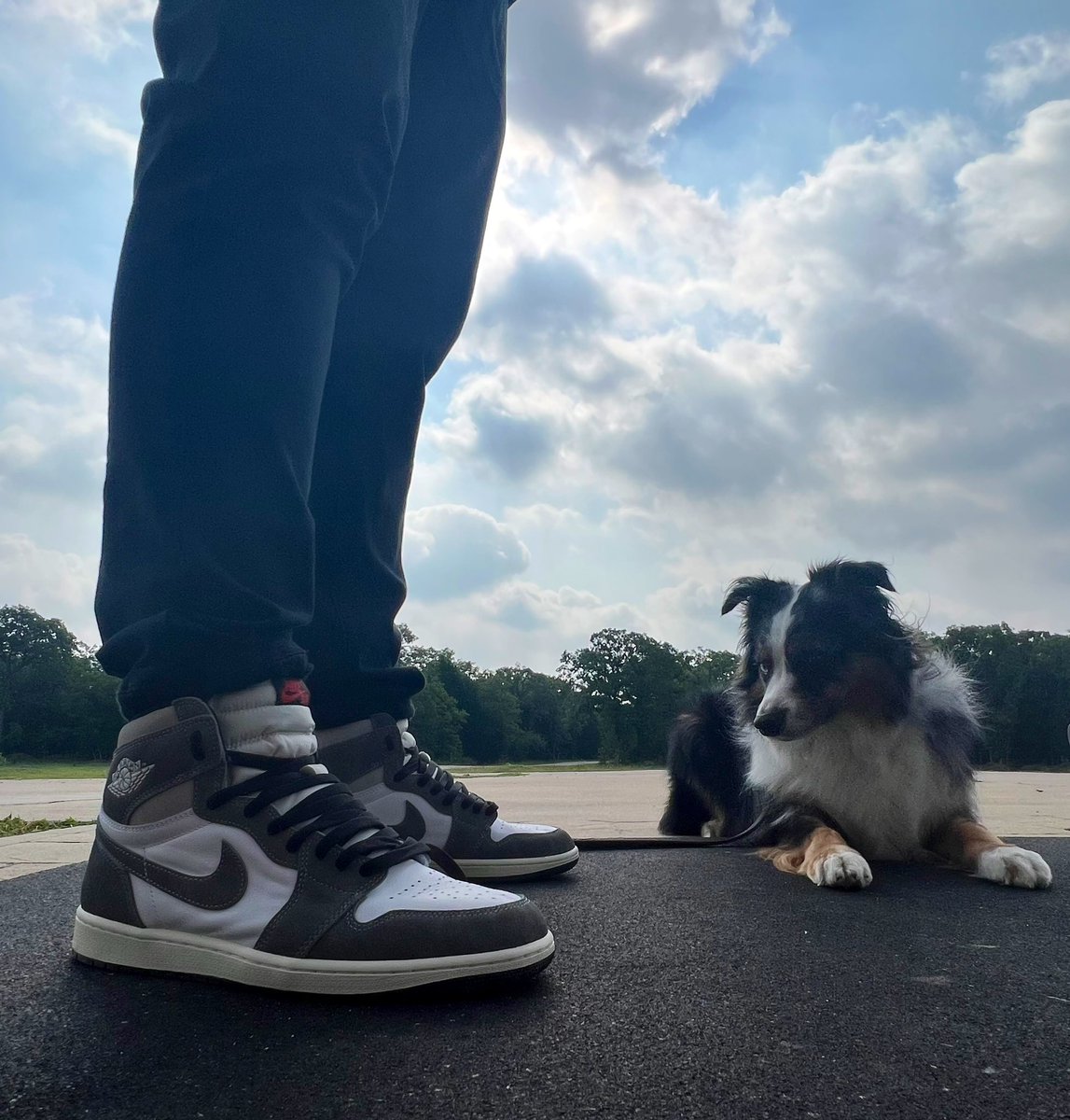 Dog of the day: Rue
Mini Australian Shepherd 

Kicks of the day: Jordan 1 Retro OG
“Washed Black”

#kotd #sneakerhead #yoursneakersaredope #snkrs #snkrsliveheatingup #dogtraining #dogtrainers