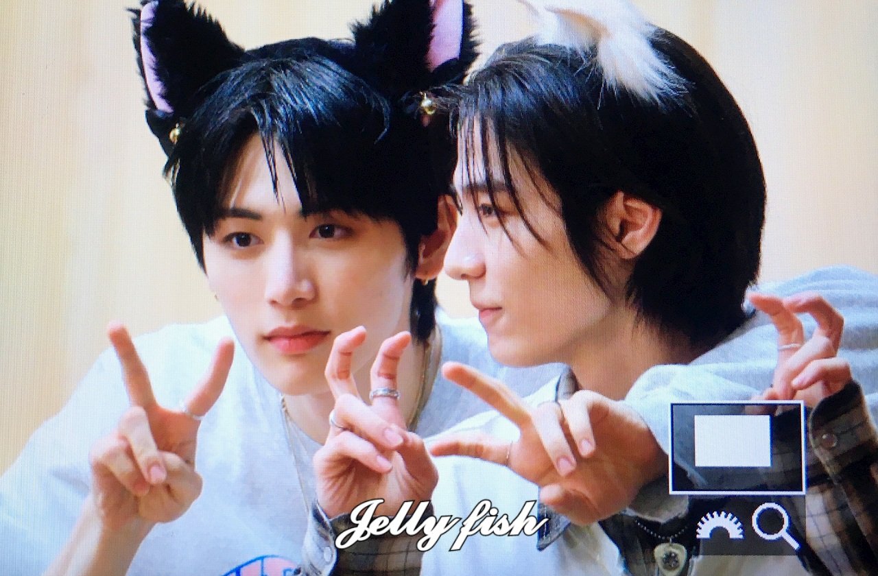 jellyfish-2han-twitter