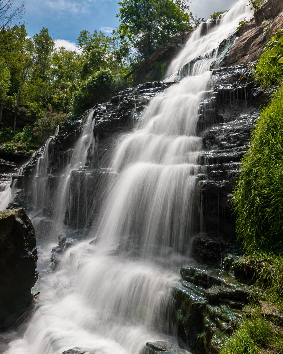 Multi_area's tweet photo. 🌊 #DYK Hamilton is the waterfall capital of the world & is home to over 100 waterfalls! Fortunately, Summit Park residents are just a stone's throw away from many. Read more here: https://t.co/zinoGSUz63
#HamiltonWaterfalls #ExploreHamilton #HamOnt #SummitPark #homebuilder https://t.co/cthh2jxnJn