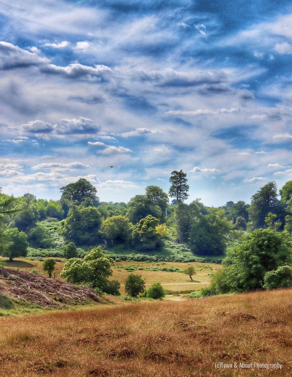 One of my favourite places on the outskirts of London - Knole Park. 
#landscapephotography #nationaltrust #ukphotographer #ukcountryside @nationaltrust