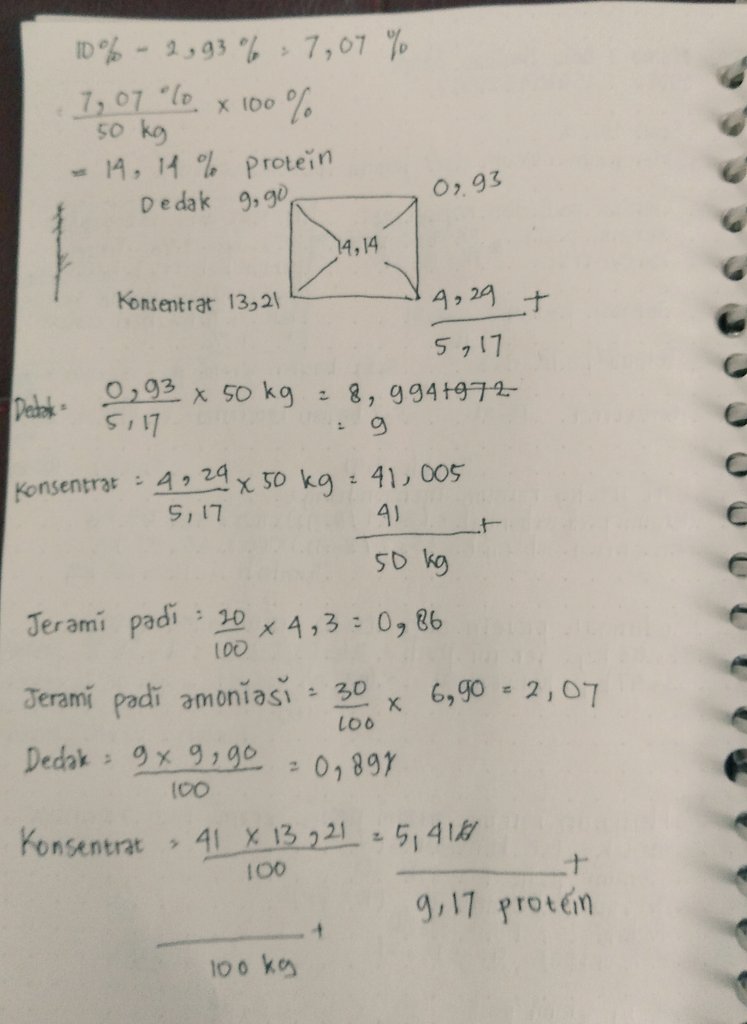 humanstudie's tweet image. Study night
