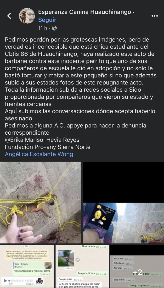 HELA_MORE's tweet photo. Exigimos justicia para el cachorro que esta demente torturo y asesino,esto ocurrió en Huauchinango,Puebla.
Lo adoptó solamente para matarlo 🥺
@FiscaliaPuebla @Gob_Puebla 
https://t.co/kipc2E1IPj https://t.co/q57z9DZmho