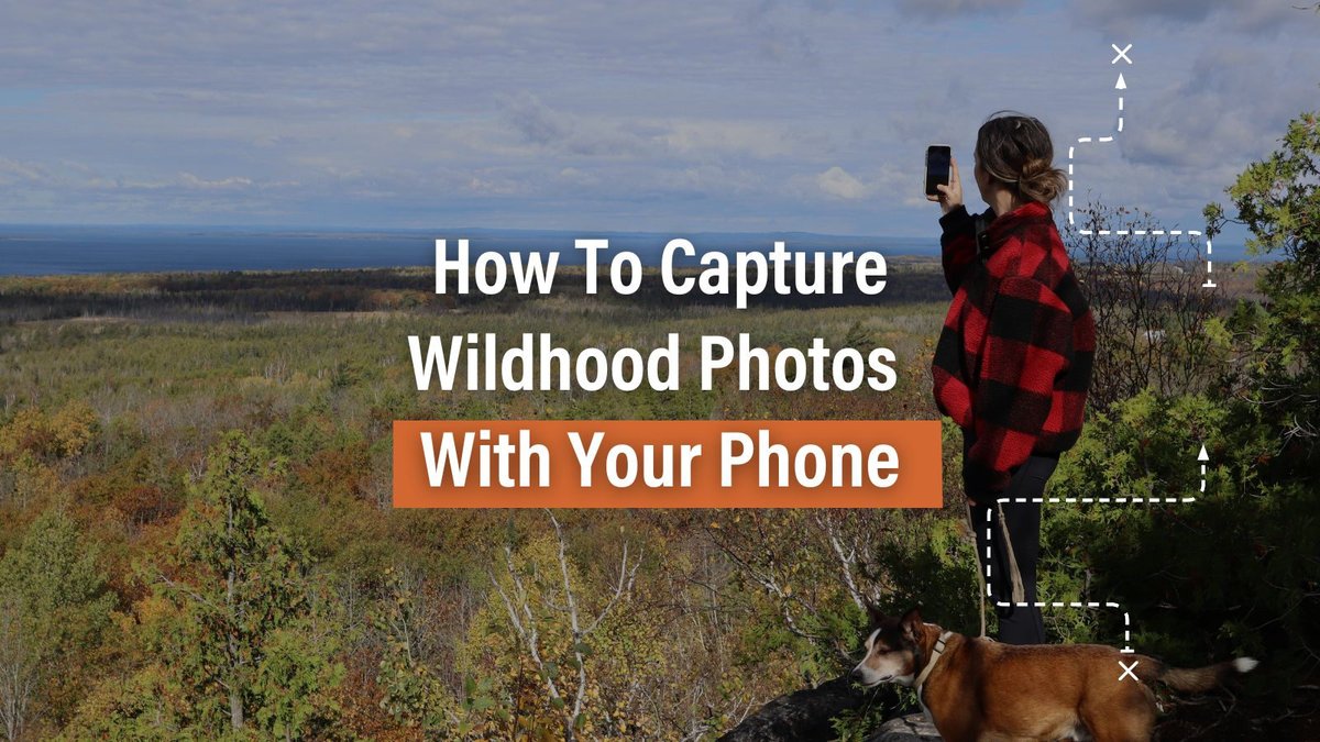 Disconnecting in the great outdoors is a must, but who doesn’t want to capture the moment to hold onto it forever?

Here are a few tips on how to use your phone to get the shot:

gorving.ca/resource/smart…

#GoRVingCanada #RVLife #RVLifestyle #RVLiving
