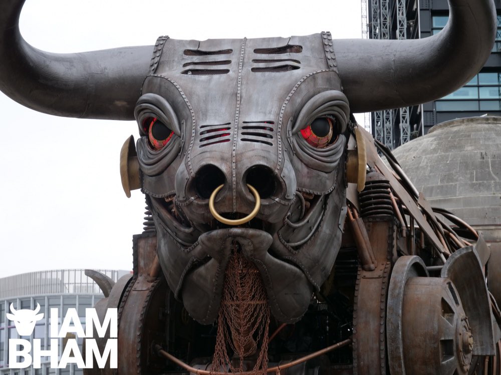 Vote now to name the Raging Bull from the Commonwealth Games that Tony &amp; Ozzy performed at “OZZY”! Vote now at wmca.org.uk/what-we-do/nam…