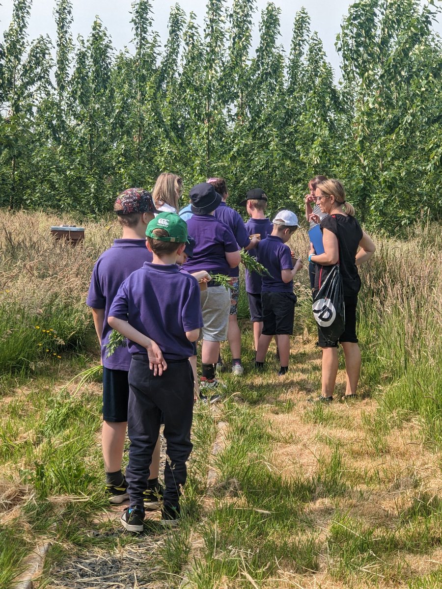 DirectorCAN's tweet photo. #magicalday welcoming children from Sandleford School to #LislaganFarm #OpenFarm #OpenFarmDay https://t.co/fqtjJddZ9m