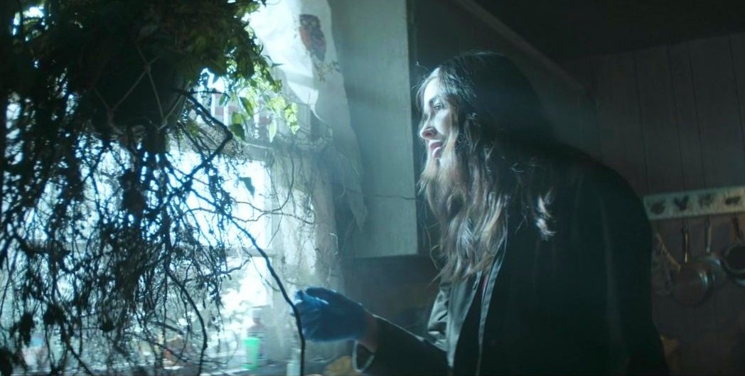 yvsunflower's tweet photo. okay hear me out : it's not a movie BUT, swamp thing deserved a second season. #saveswampthing https://t.co/wdr5APOxiG