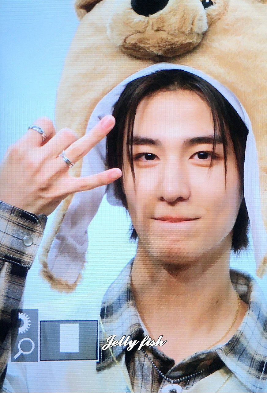 jellyfish-2han-twitter