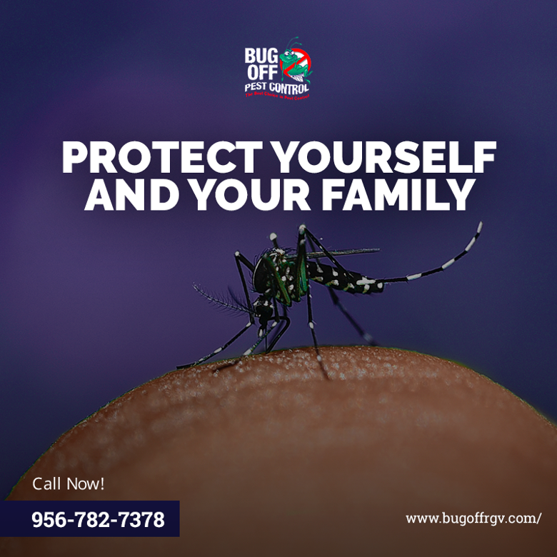 BugOffRGV's tweet image. Mosquitoes aren't just annoying, they can carry deadly diseases. Protect yourself and your family. Call Bug Off Pest Control today at 956-782-7378 to schedule your appointment!