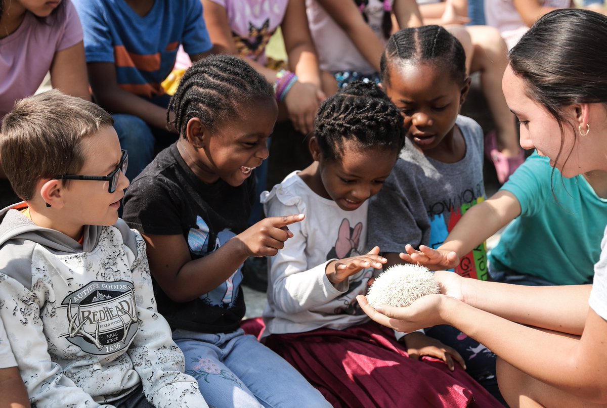 BGISD's tweet photo. Visits with animal friends make summer learning fun @dishmanmcginnis. On Friday morning, students were able to see and learn about chickens, a bearded dragon, a hedgehog, and a leopard tortoise. https://t.co/iN4viUkk9q