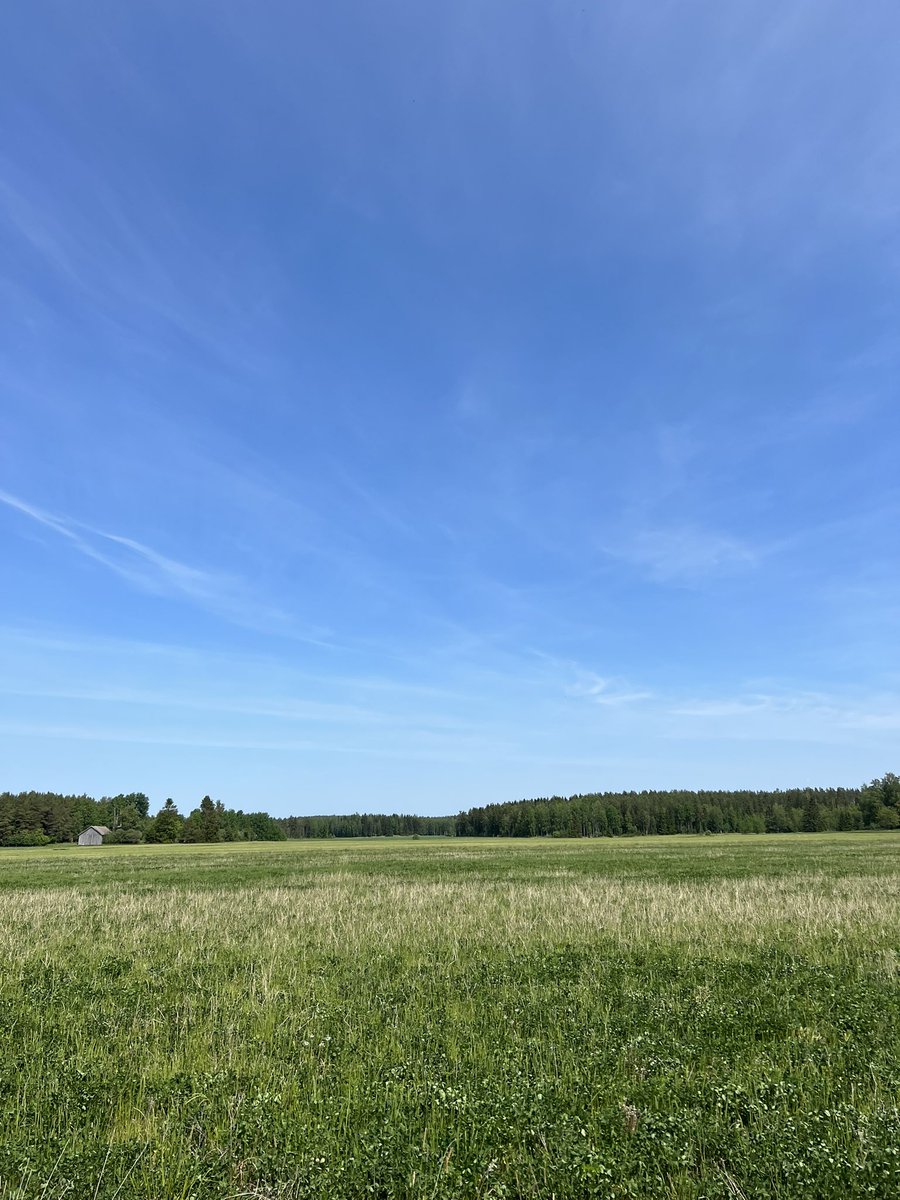 KKutimet's tweet photo. @MarkulaKirsi Maalaismaisema https://t.co/jQn2aGuNFa