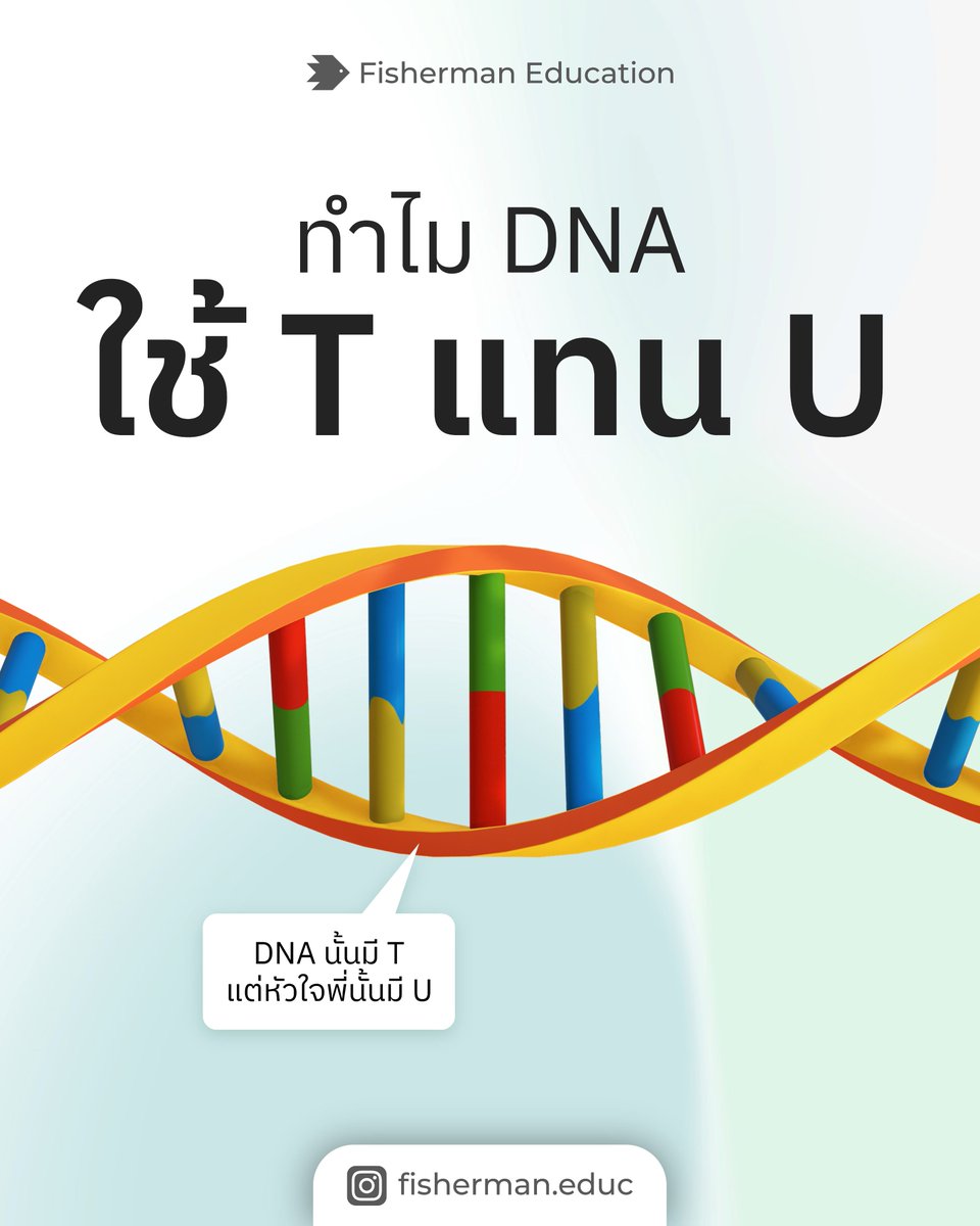 FishermanEduc's tweet photo. นั่นสิ ทำไม
https://t.co/PiL7bcS4Md
.
#dek66 #dek67 #dek68 #dek69 #dek70 #studygramthailand #studygramth #studygram #studyplan #studywithme #กสพท67 #TCAS67 https://t.co/T86ADeN5fL