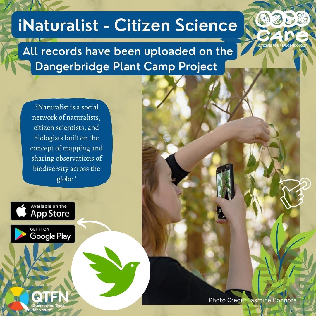QldTFN's tweet photo. Exciting news from Dangerbridge Nature Refuge! Plant Camp was a huge success, bringing together experts, hobbyists, and citizen scientists for two days of botanical exploration and conservation. Discover the incredible plant species we documented #PlantCamp #CitizenScience https://t.co/ViFcwI7Dr5