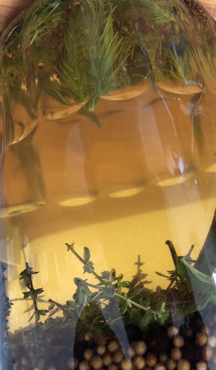 Moel Famau® Distillery tweet media