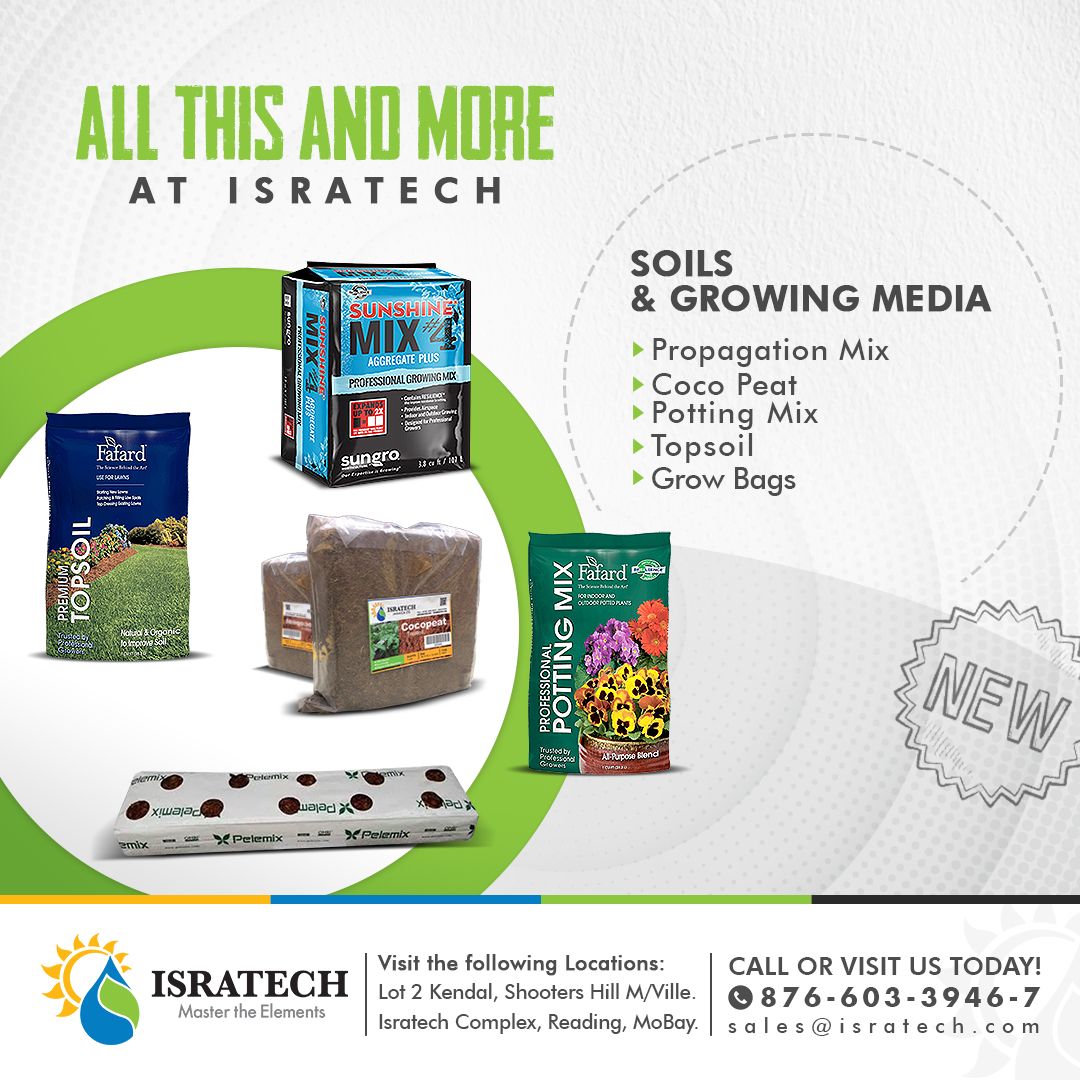 isratechja's tweet photo. For the best in Soils and Growing Media, visit our Superstore!

Located: Lot #2 Shooter’s Hill, Kendal, Mandeville, Manchester

Or Whatsapp us at: 876-578-5817

Everything for Agriculture, Energy, Hardware, Water, Homel Garden and much much more. ☀️💧🌱

#Mandeville #jamaica https://t.co/zzvgwVh68p