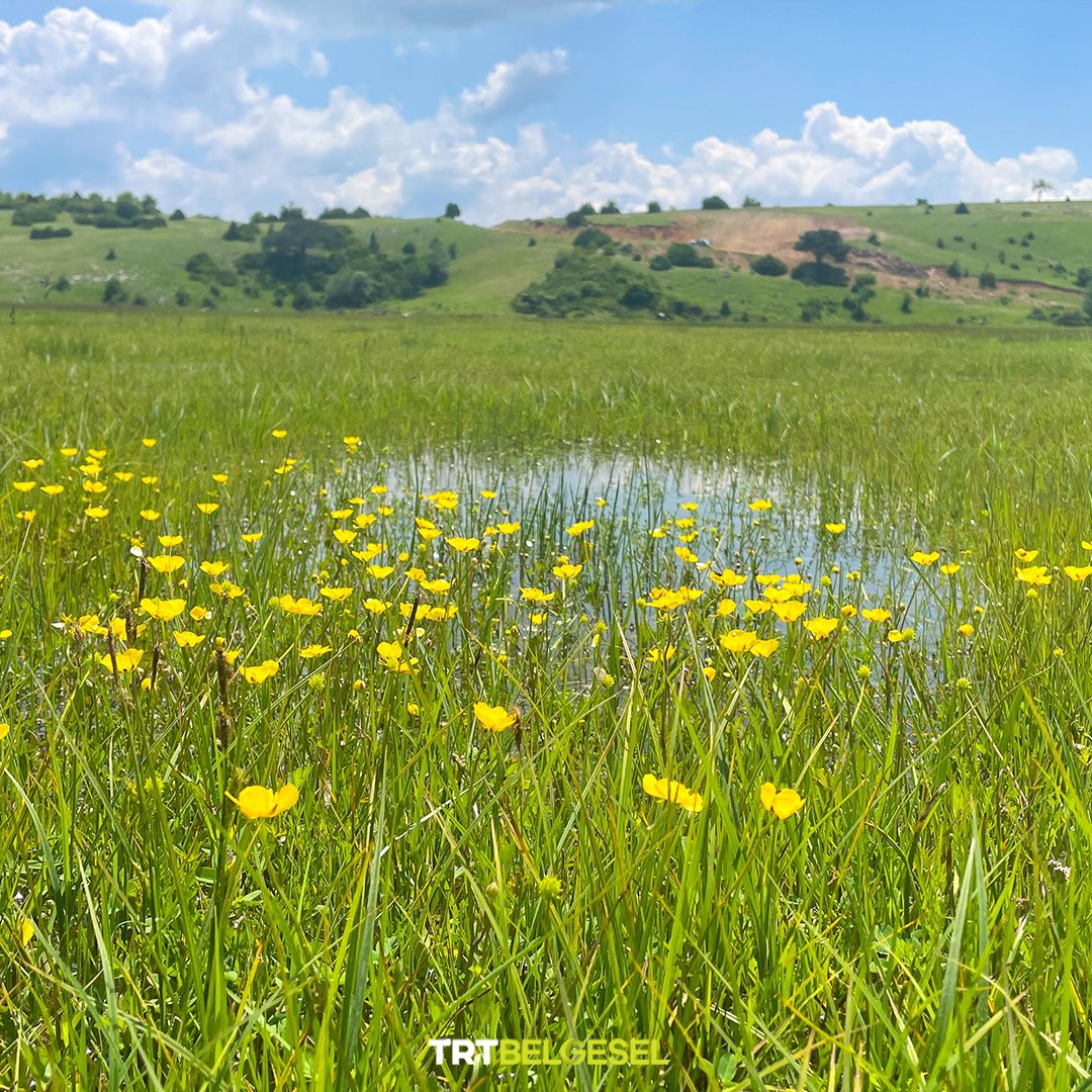 📍Karagöl Yaylası | Taraklı

#SakaryaBirBaşka