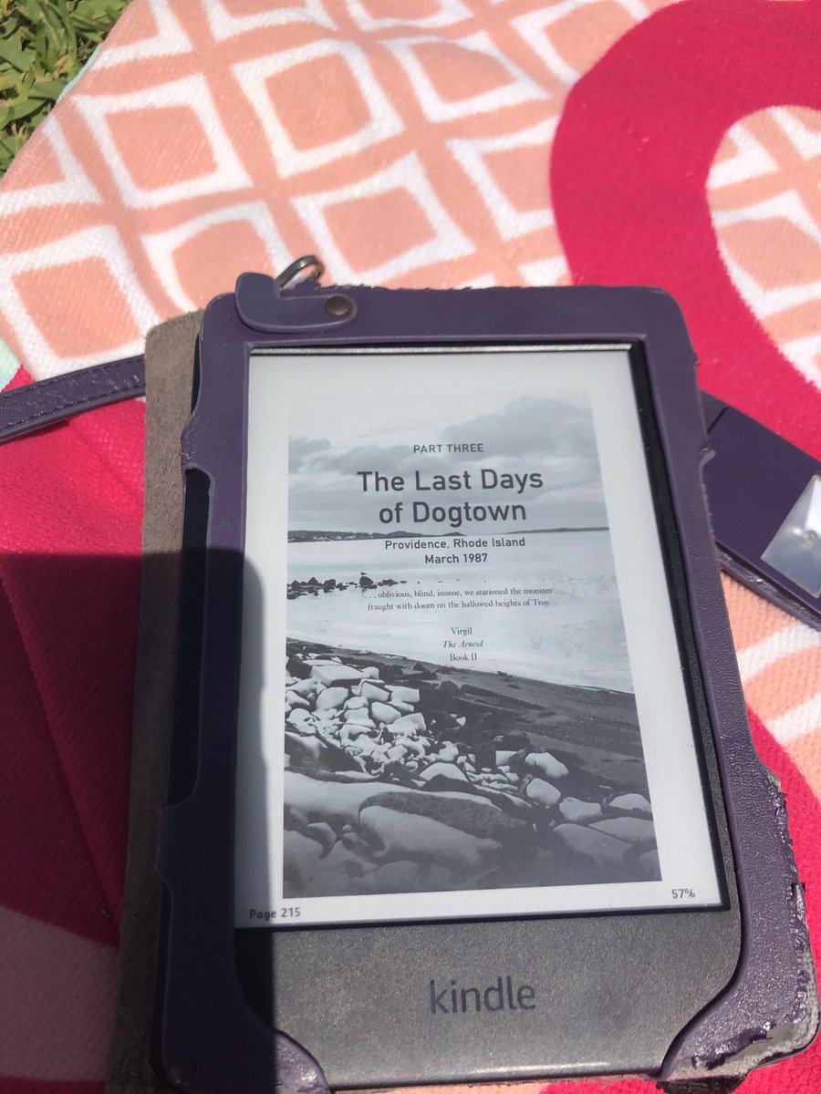 A little #holidayreading in the Spanish sunshine @donwinslow