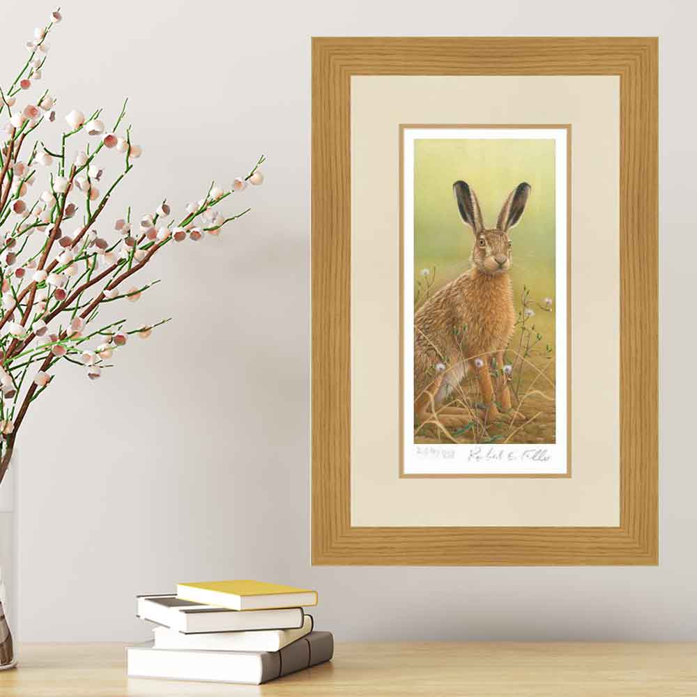 Hares are an iconic species here on the #yorkshirewolds & a constant inspiration 🎨🖌🐇
This one caught my eye as it paused momentarily, a patch of mayweed at its feet🌿
🛒👉robertefuller.com/product/hare-i…
#wildlife #art #robertefuller