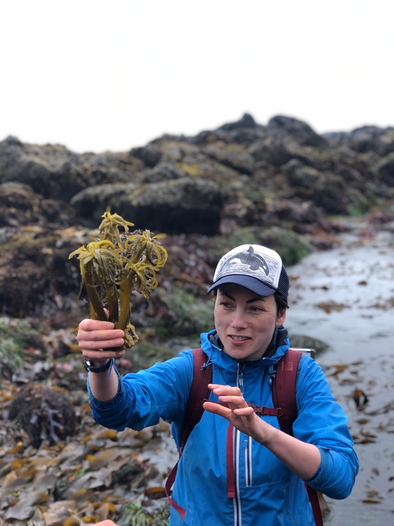 Tonight with Dr. Bridgette Clarkston we are celebrating B.C.’s coastal marine diversity, focusing on West Coast seaweeds and their role in our coastal marine ecosystems.

⁠Friday evening, June 16th.  7 - 8:30pm @ the Ucluelet Community Centre ⁠

#raincoasteducation #seaweed 
⁠