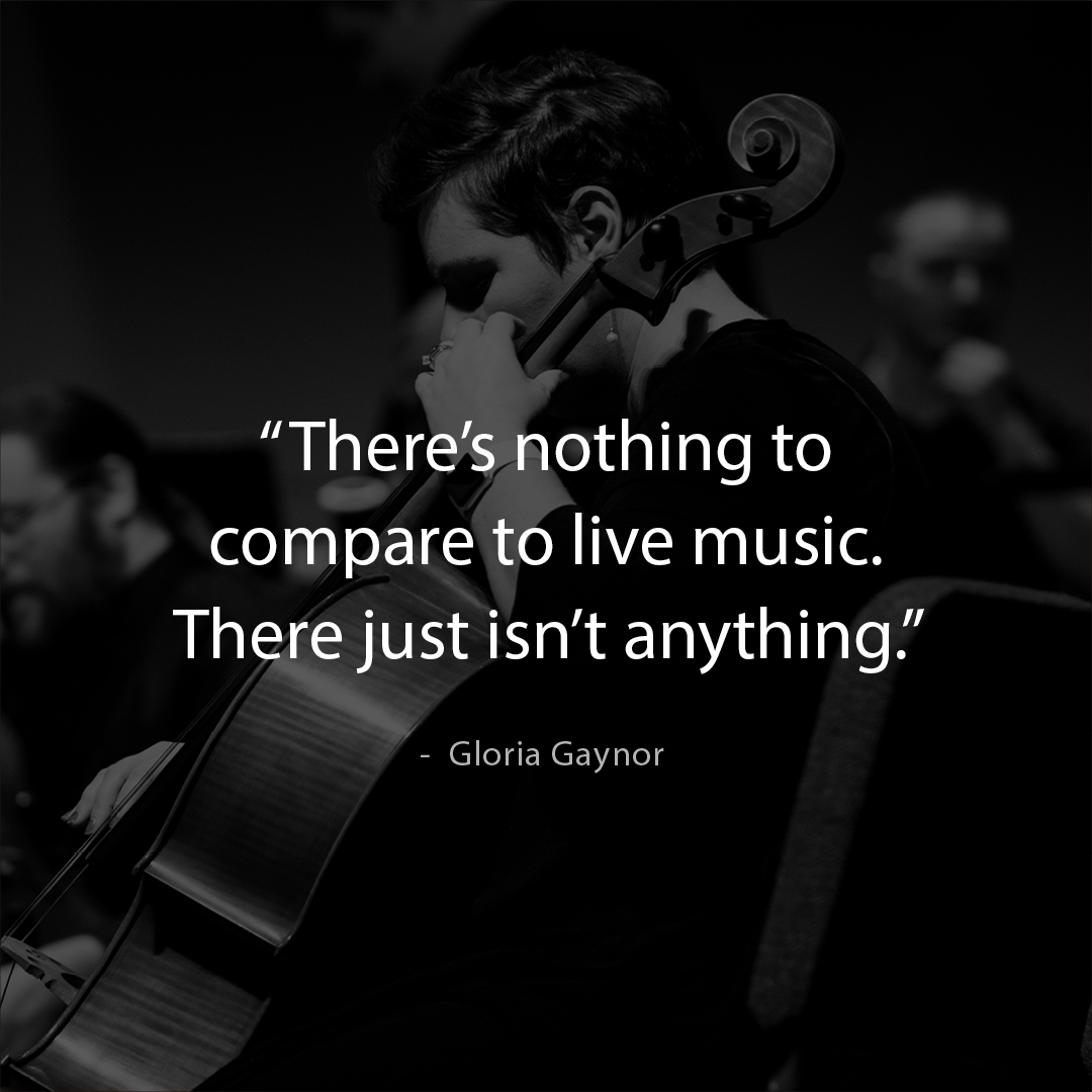 There isn't anything that compares to a live music experience! Let the music play. Safely.

#soundrecovery #letthemusicplaysafely #letthemusicplay #supportlivemusic #safelivemusic #pandemicmusicproject #supportmusicians #livemusic #safelivemusic #musicquote