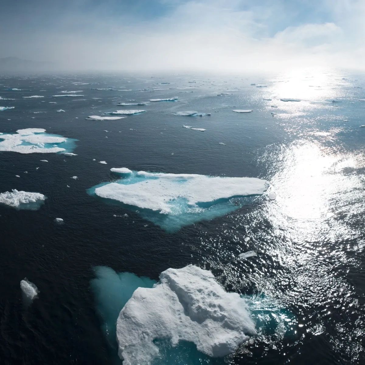 ClimateGlobe's tweet photo. Climate change awareness starts with ClimateGlobe! Explore our website to understand the devastating impacts of climate change and discover how you can be part of the solution: https://t.co/mdJlJaNzoc. https://t.co/INs1oD2TYK