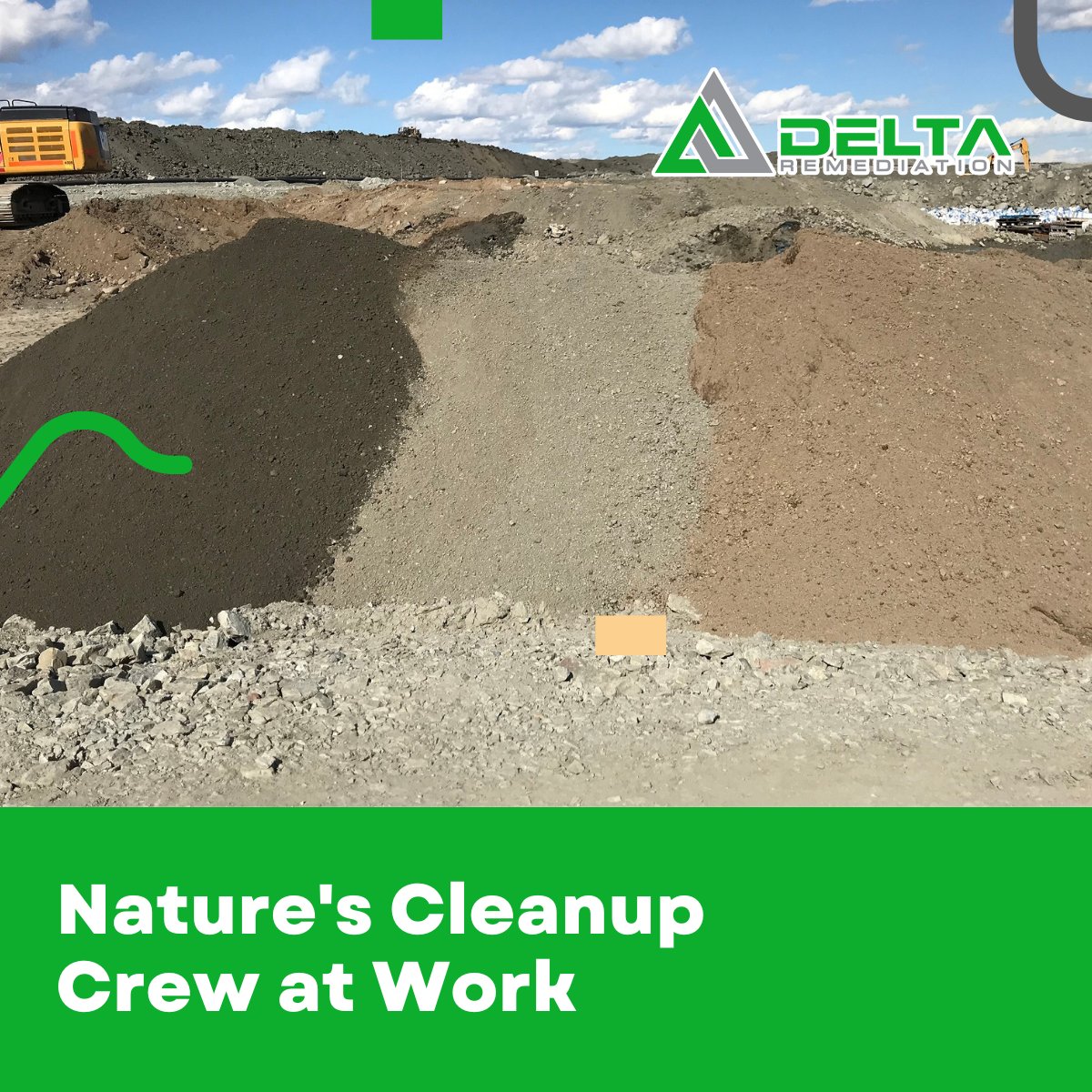 Microbes, our #InvisibleHeroes, clean up hydrocarbons naturally, leaving the environment untouched. With 30+ years in #Bioremediation, trust us at Delta Remediation to protect Earth! Join our eco-mission today. #DeltaRemediation #EcoFriendlyCleanUp
